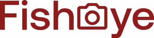 Website-logo